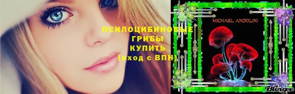 бошки Магадан