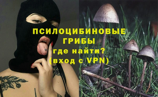 прущие грибы Балахна