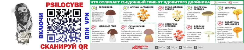 даркнет сайт Шахунья блэк спрут как войти Псилоцибиновые грибы мицелий