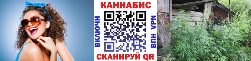 дарнет шоп  Шахунья  Канабис индика 